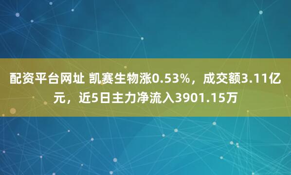 配资平台网址 凯赛生物涨0.53%，成交额3.11亿元，近5日主力净流入3901.15万